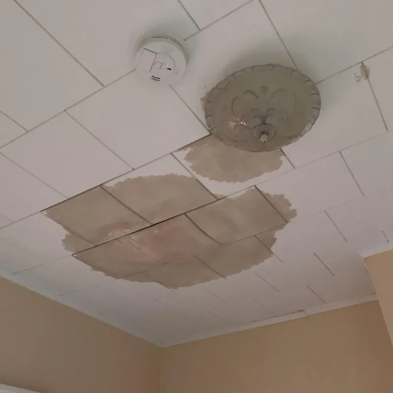 Ceiling Water Damage Repair in East Canton, OH