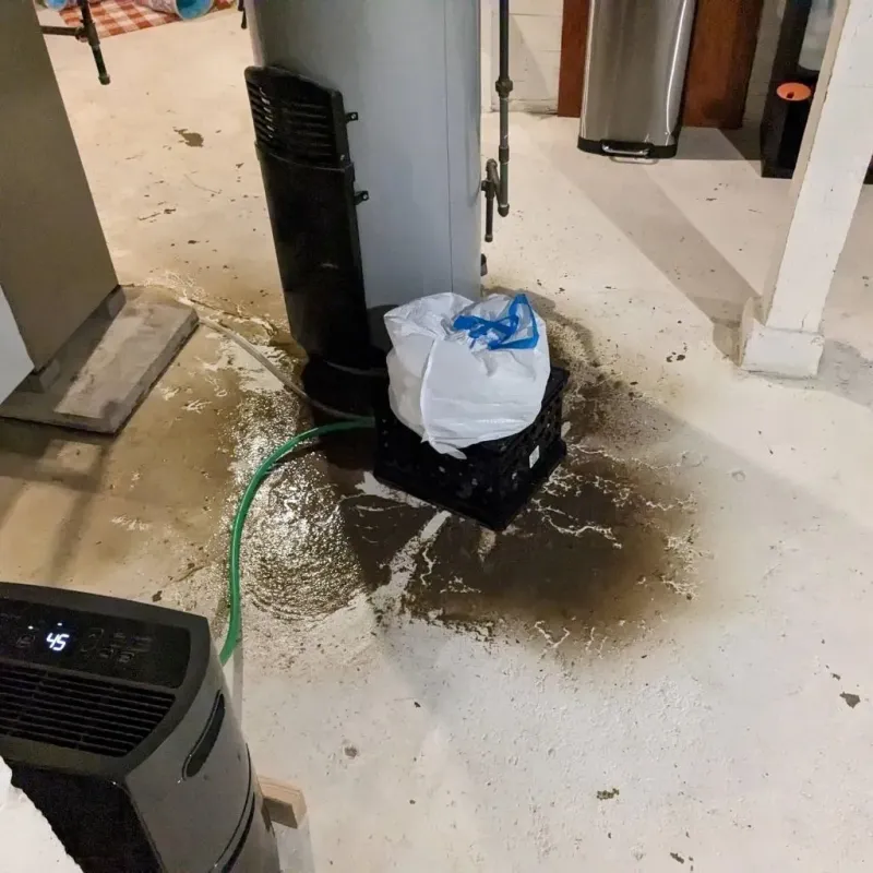 Sewage Backup Cleanup Service in East Canton, OH